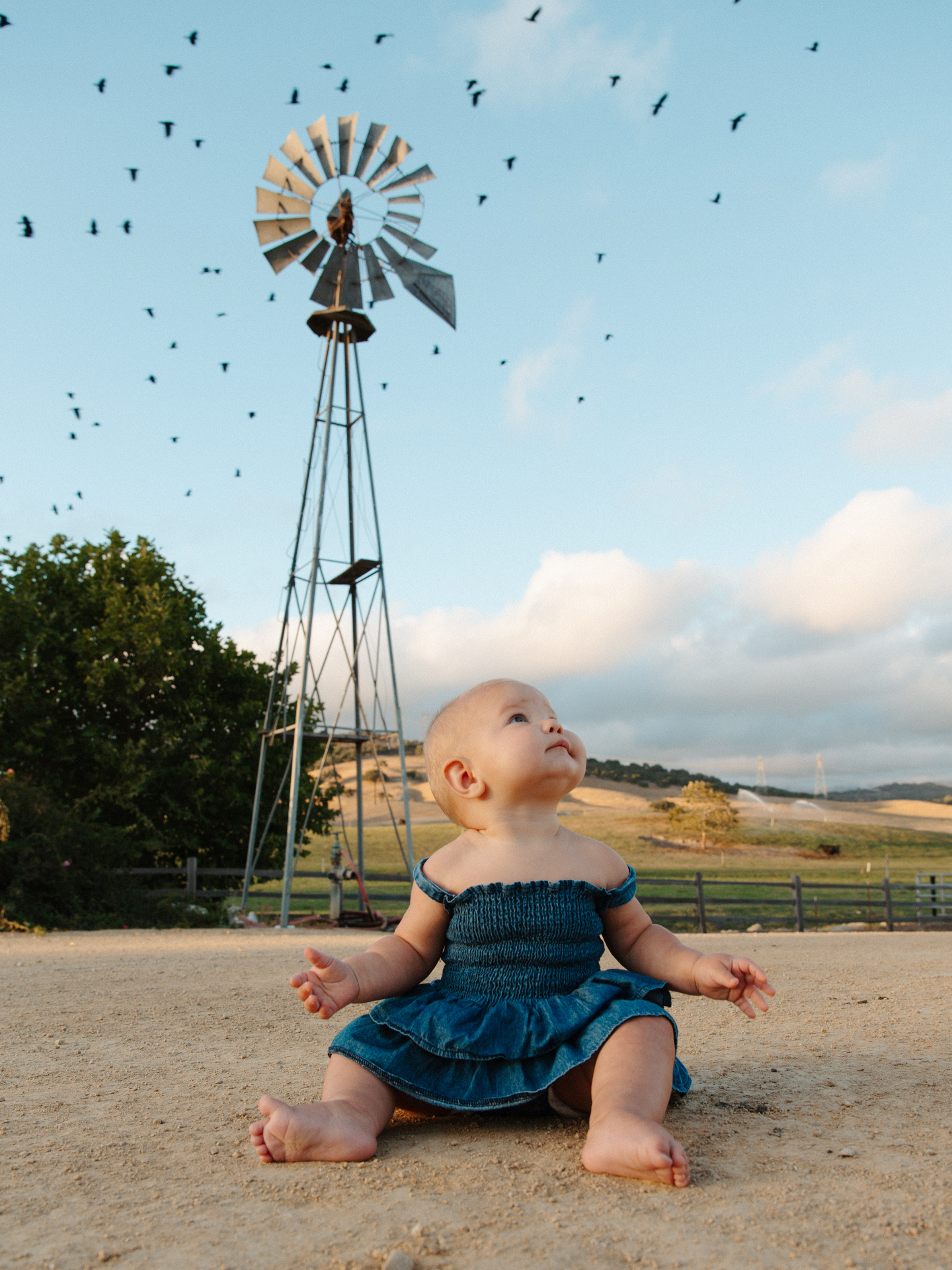 Baby in a denim dress sitting on a dirt road gazing up at a windmill as birds fly overhead