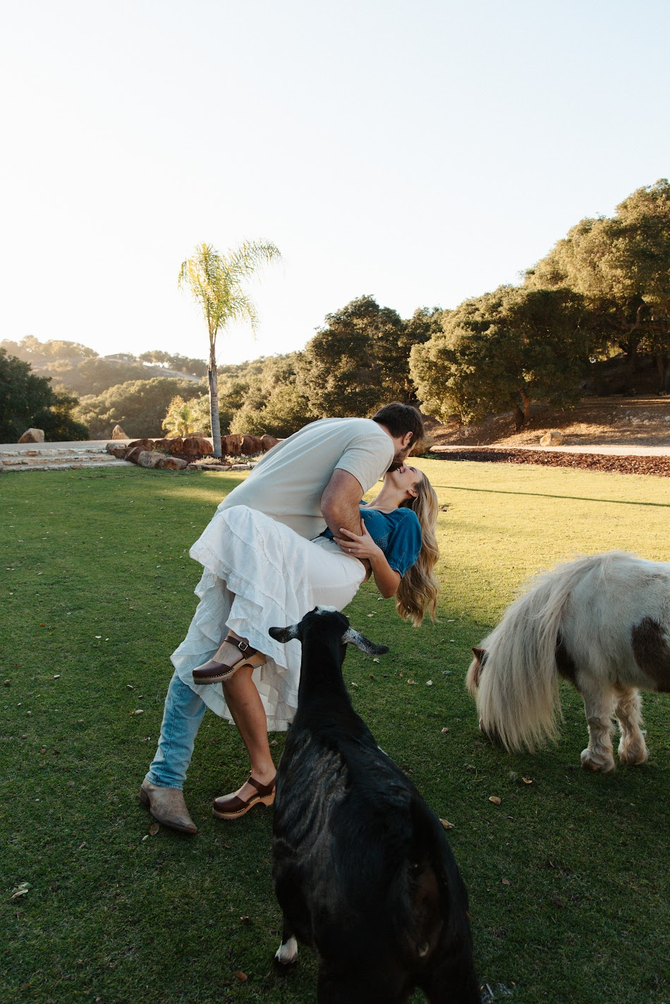 Couple kissing while standing in a pasture beside a goat and pony at golden hour