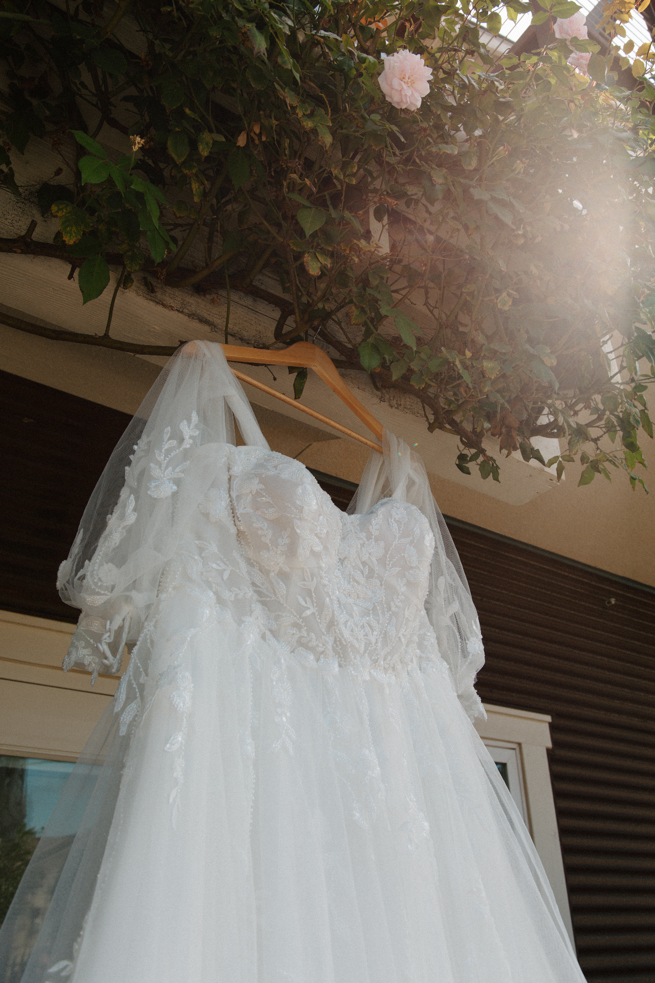 Lace and tulle wedding dress with veil hanging from a wooden hanger beneath a climbing pink rose vine in soft sunlight